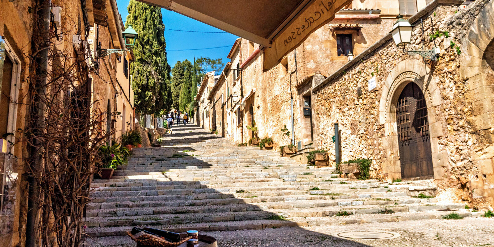 CVS_20230308_18055-Pollenca