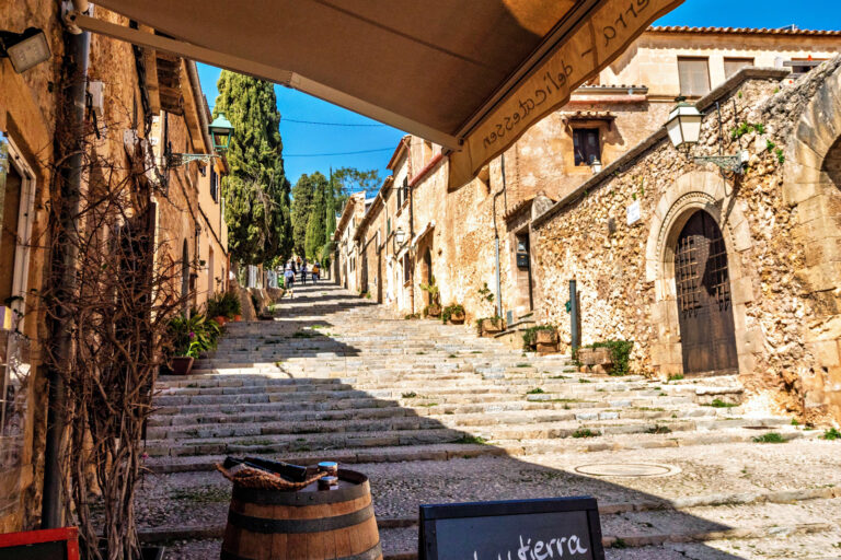 CVS_20230308_18055-Pollenca